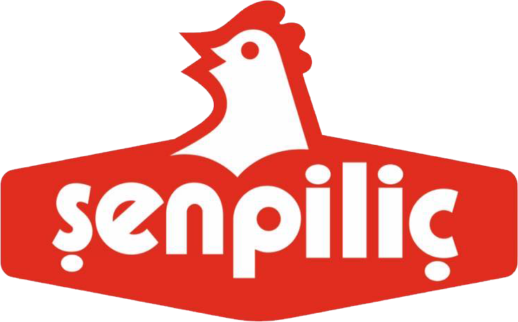 Şen Piliç